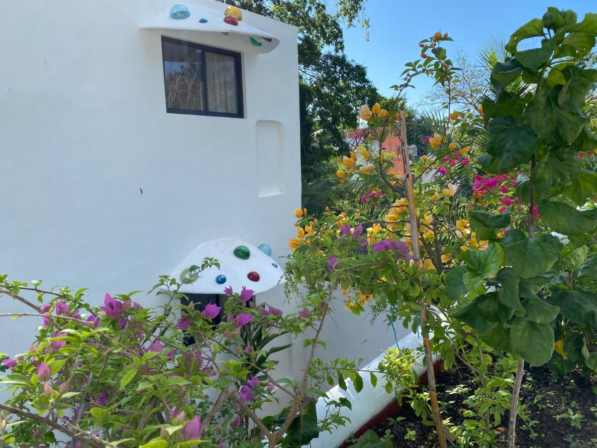 Maison باكالار المظهر الخارجي الصورة