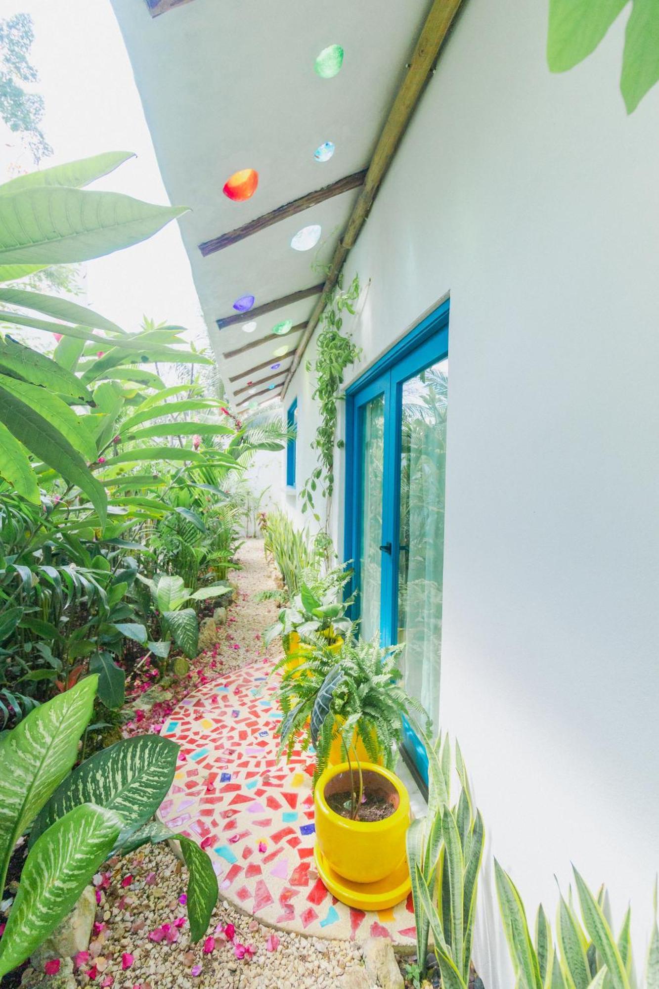 Maison باكالار المظهر الخارجي الصورة