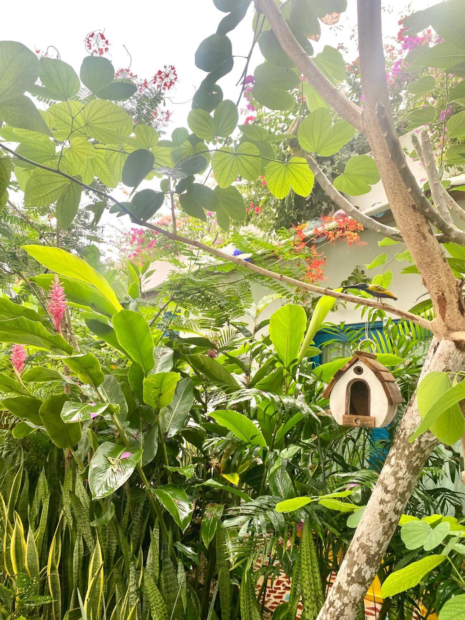 Maison باكالار المظهر الخارجي الصورة