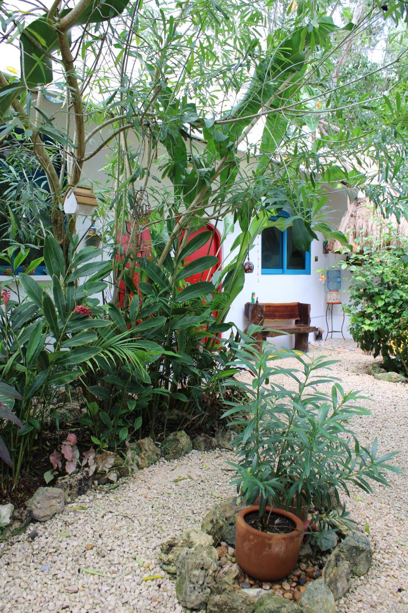 Maison باكالار المظهر الخارجي الصورة