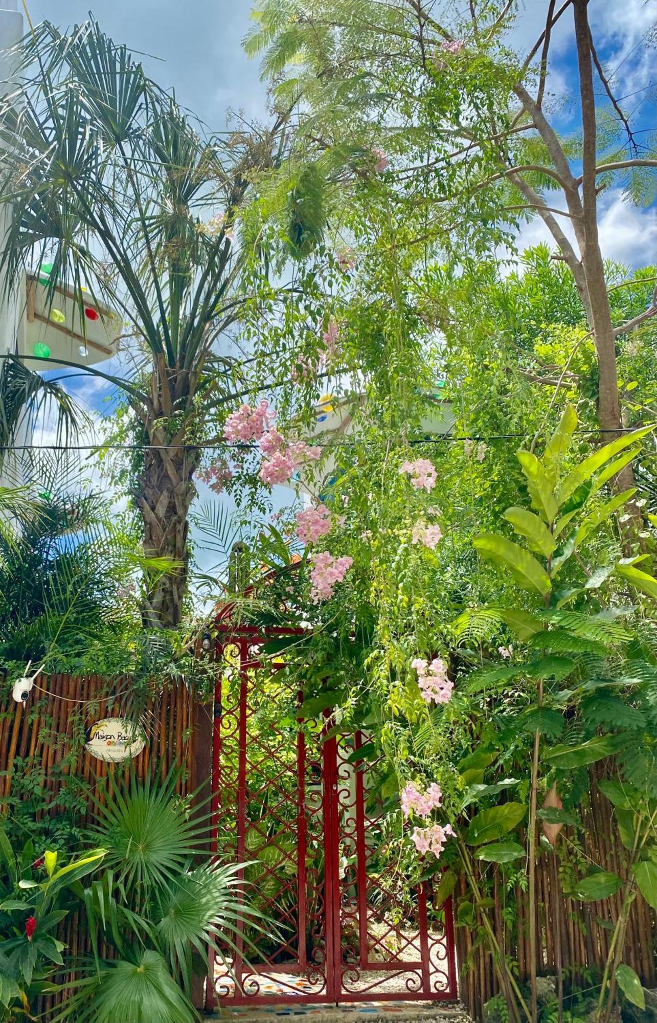 Maison باكالار المظهر الخارجي الصورة